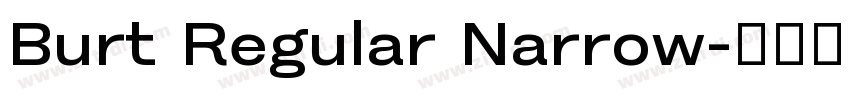 Burt Regular Narrow字体转换